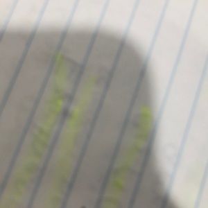 Meet your Posher, Salia